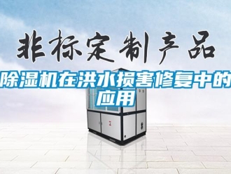 企业新闻除湿机在洪水损害修复中的应用