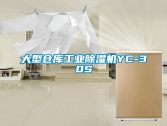 常见问题大型仓库工业除湿机YC-30S