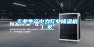 专业生产电力行业除湿机厂家
