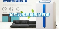 抽屉式恒温恒湿储藏柜