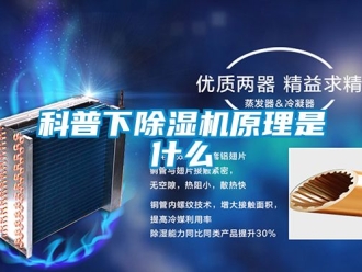 行业新闻科普下除湿机原理是什么