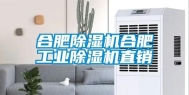 合肥除湿机合肥工业除湿机直销