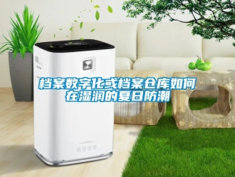 企业新闻档案数字化或档案仓库如何在湿润的夏日防潮