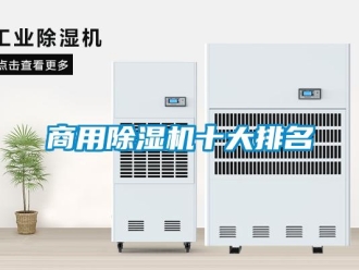 常见问题商用除湿机十大排名