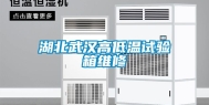 湖北武汉高低温试验箱维修