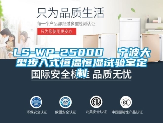 常见问题LS-WP-25000  宁波大型步入式恒温恒湿试验室定制