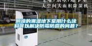 阴凉的潮湿地下室用什么涂料可以解决防霉防腐的问题？