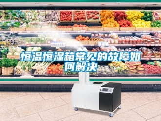知识百科恒温恒湿箱常见的故障如何解决