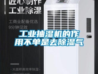 企业新闻工业抽湿机的作用不单是去除湿气