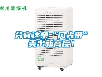 企业新闻分宜这条“风光带”美出新高度！