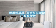 恒温恒湿箱 稳定性试验箱 厂家泰斯特