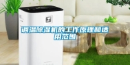 调温除湿机的工作原理和适用范围