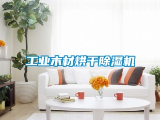 常见问题工业木材烘干除湿机