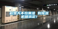 积雪天不怕潮湿 有除湿机就搞定！