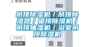 吊顶除湿机／吊顶除湿器／吸顶除湿机／吊顶抽湿机／浴室吊顶除湿机