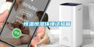 恒温恒湿环境试验箱