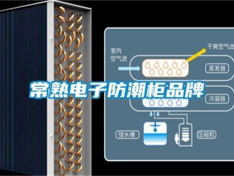 企业新闻常熟电子防潮柜品牌