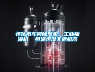 常见问题怀化市车间除湿机，工业抽湿机  恒温恒湿非标机器