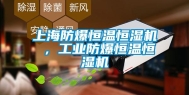 上海防爆恒温恒湿机 ，工业防爆恒温恒湿机