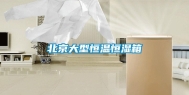 北京大型恒温恒湿箱