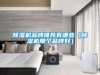 企业新闻除湿机品牌推荐有哪些（除湿机那个品牌好）