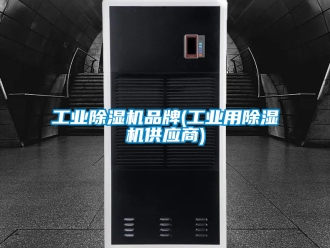 常见问题工业除湿机品牌(工业用除湿机供应商)