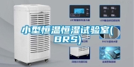 小型恒温恒湿试验室(BRS)