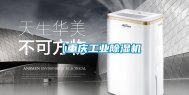 【重庆工业除湿机