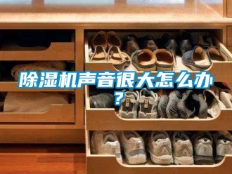 常见问题除湿机声音很大怎么办？