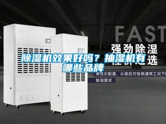 企业新闻除湿机效果好吗？抽湿机有哪些品牌