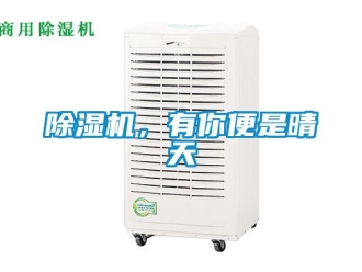 常见问题除湿机，有你便是晴天