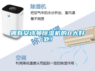 企业新闻拥有安诗曼除湿机的8大好处！