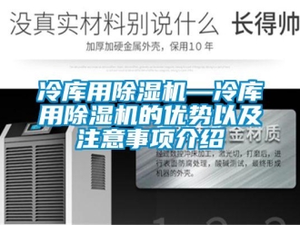 行业新闻冷库用除湿机—冷库用除湿机的优势以及注意事项介绍