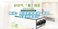 解读：除湿机家电业 品牌与渠道谁先行