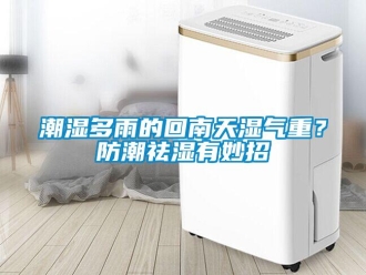 企业新闻潮湿多雨的回南天湿气重？防潮祛湿有妙招