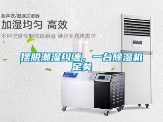 常见问题摆脱潮湿纠缠，一台除湿机足矣