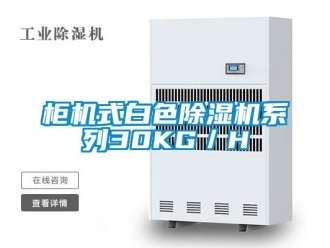 行业新闻柜机式白色除湿机系列30KG／H