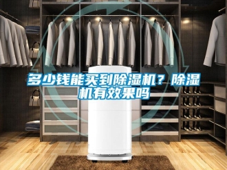 行业新闻多少钱能买到除湿机？除湿机有效果吗
