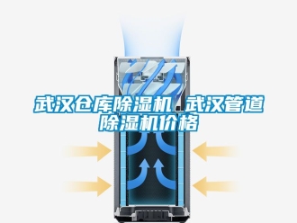 企业新闻武汉仓库除湿机 武汉管道除湿机价格