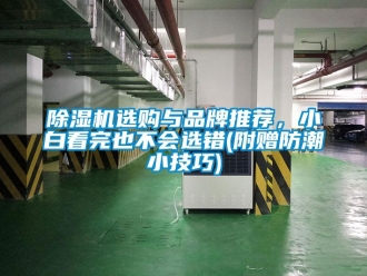 企业新闻除湿机选购与品牌推荐，小白看完也不会选错(附赠防潮小技巧)