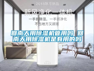 行业新闻回南天用除湿机管用吗 回南天用除湿机是有用的吗