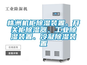 常见问题株洲机柜除湿装置、开关柜除湿器、工业除湿装置、冷凝除湿装置