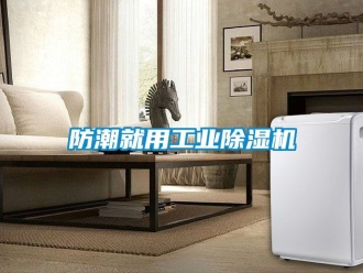 常见问题防潮就用工业除湿机