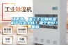 梅雨季，油汀干衣和除湿机干衣怎么选？哪个更好？_重复