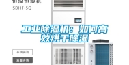 工业除湿机：如何高效烘干除湿