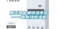 真正的中央除湿系统——迪斯特除湿机