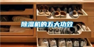 除湿机的五大功效