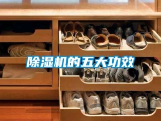 企业新闻除湿机的五大功效