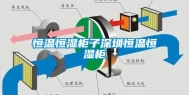 恒温恒湿柜子深圳恒温恒湿柜