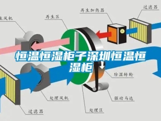 知识百科恒温恒湿柜子深圳恒温恒湿柜